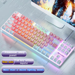 SKYLION H87 Wired Mechanical Keyboard 10 Kinds of Colorful Lighting Gaming and Office for Microsoft Windows and Apple IOS System